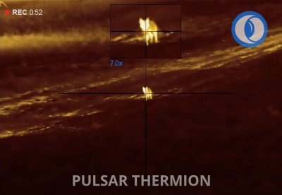 Pulsar Thermion