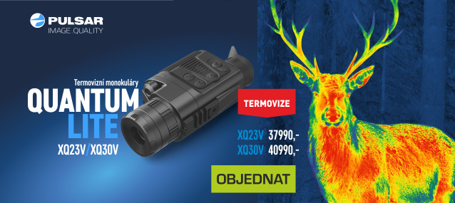 Pulsar Quantum Lite