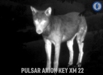 Pozоrování s Axion XM22