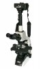 mikroskop_evolution300